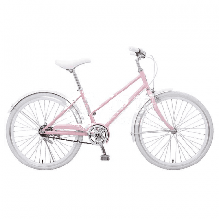 FH Ladies' Bicycle - Stylish 24-Inch Carbon Steel Frame for Sale