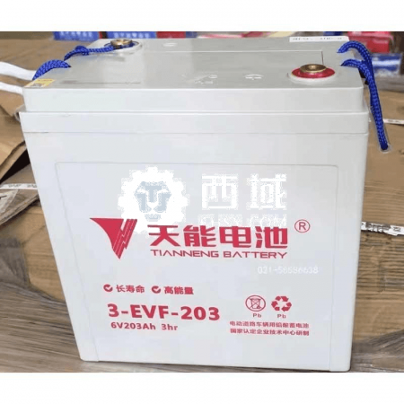 Tianneng A6 Series Battery (3-EVF-203) - 6V