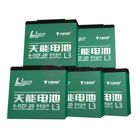 Tianneng Electric Vehicle Battery A6 Series 60V 20Ah - Reliable Power Solution for Two-Wheeled Vehicles