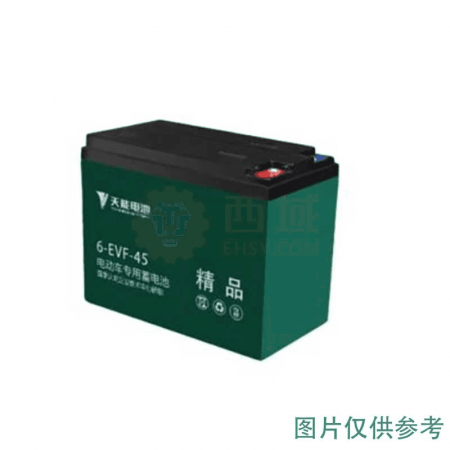 Tianneng Electric Tricycle Battery 6-EVF-45.2 - Reliable Power Solution for Electric Vehicles