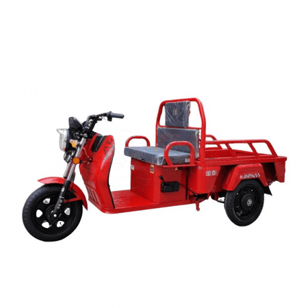 ZS Electric Tricycle WEKA 1-160P – Powerful 60V Motor with Warm Air Feature