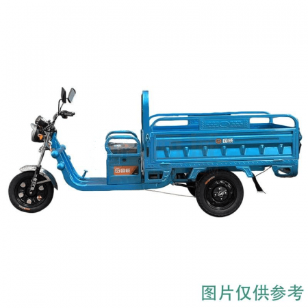 GUOWEI Freight Electric Tricycle – 1000W Motor