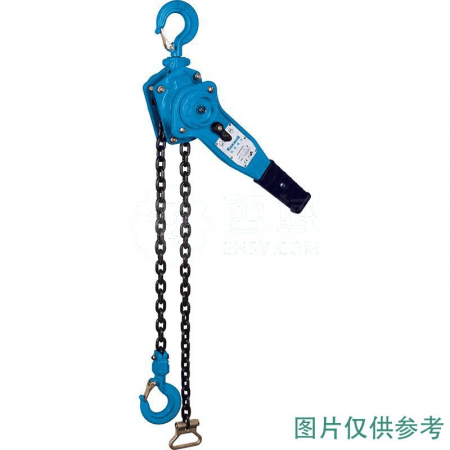 Raxwell Hand Cranked Hoist RLCL0004 | 1T Capacity &amp; 3M Lift Height