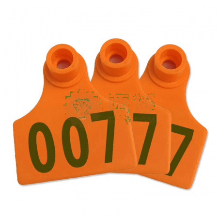 SAFEWARE Cow Ear Label 530076 – Durable Orange Tags with Pre-Printed Words for Cattle Identification (100 Labels/Pack)