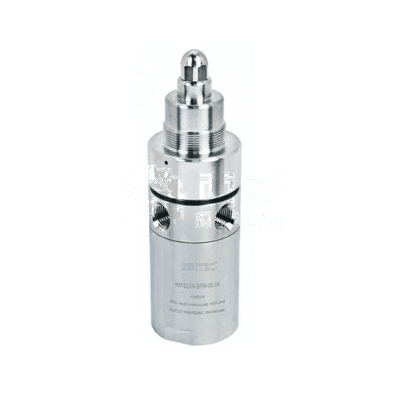 GENTEC Steam Heating Pressure Reducer R81SLAV-BIW-00-00 | Efficient Pressure Regulation for Industrial Steam Systems