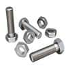 Bolt nut