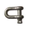 Shackle lifting ring