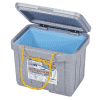 Insulated and frozen storage container